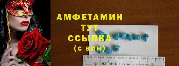 стаф Россошь
