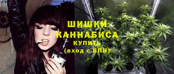 стафф Рославль
