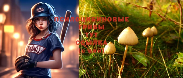 стафф Рославль