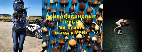 стаф Россошь