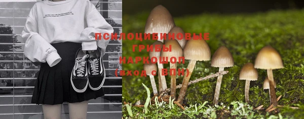 стаф Россошь