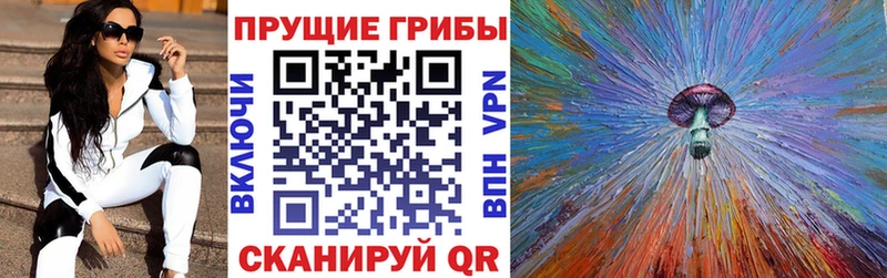 Псилоцибиновые грибы MAGIC MUSHROOMS  Купить где  Томари 